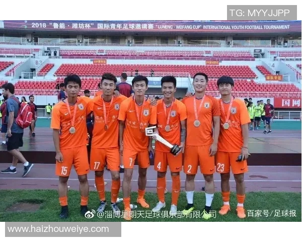 中国足球球星数量排名揭示各省市足球人才分布情况