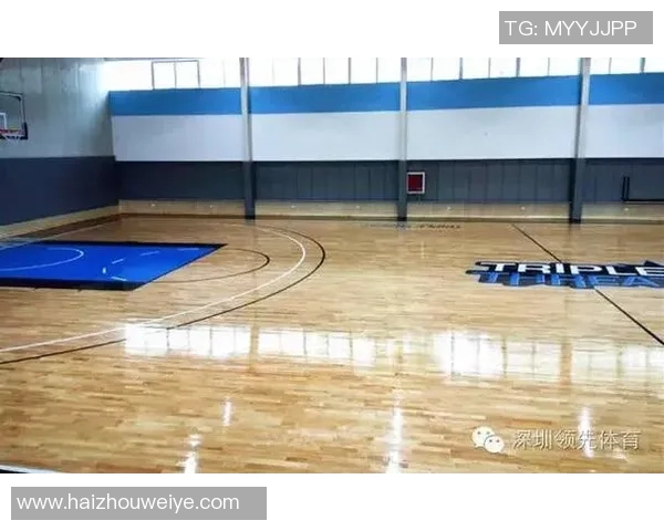 足球球星套子成长之路与赛场辉煌瞬间全景解析