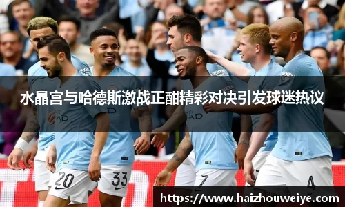 水晶宫与哈德斯激战正酣精彩对决引发球迷热议